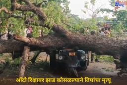 ठाण्यात ऑटो रिक्षावर झाड कोसळल्याने तिघांचा मृत्यू