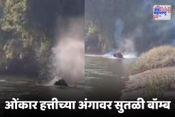 Onkar Elephant Video : धक्कादायक ! ओंकार हत्तीला मारहाण केल्यानंतर आता त्याच्यावर फेकले फटाके, व्हिडीओ पाहून तुमचाही होईल संताप