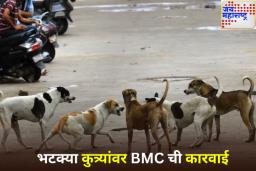 Mumbai Stray Dog Complaints: मुंबईत भटक्या कुत्र्यांच्या 10 हजारहून अधिक तक्रारी; BMC ने मोबाईल अॅपद्वारे सुरू केली तक्रार यंत्रणा