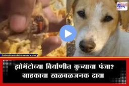 Shocking Incident : संतापजनक! झोमॅटोवरून मागवलेल्या बिर्याणीत ‘कुत्र्याचा पाय’? व्हिडिओने सोशल मीडियावर उडवली खळबळ