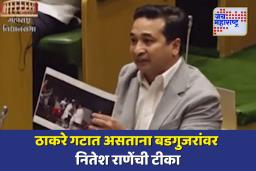 बडगुजर आणि सलीम कुत्ताच्या फोटोवरून नितेश राणेंनी उठवलं होतं सभागृहात रान