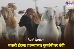 बकरी ईदला ‘हा’ देश देणार नाही प्राण्यांची कुर्बानी; भारतासह जगभरातील मुस्लिम देशांना मोठा संदेश
