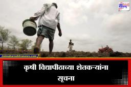 Agriculture News: ‘पेरणीची घाई करू नये…’, मान्सूनपूर्व पावसाच्या पार्श्वभूमीवर कृषी विद्यापीठाचा शेतकऱ्यांना मोठा इशारा