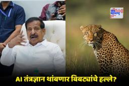 Leopard Sterilisation: केंद्राची बिबट्या नसबंदीला मान्यता; वनमंत्र्यांनी दिले AI-आधारित उपाययोजनांची अंमलबजावणी करण्याचे आदेश