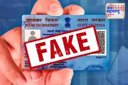 Pan Card Fake Loan: तुमच्या नावावर कुणी फसवे लोन तर घेतले नाही ना? जाणून घ्या तपासण्याची पद्धत