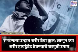Heatstroke Prevention Tips: उन्हाचा पारा चढला, उष्माघाताचा धोका वाढला! स्वतःचा बचाव करण्यासाठी ‘या’ सवयी आजच लावा; वाचा आरोग्यमंत्र
