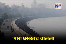 Maharashtra Winter Season: महाराष्ट्रात  थंडीची लाट; पुणे – मुंबईसह राज्यभरात गारठा वाढला