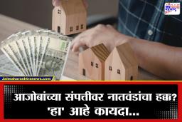 Property Act : आजोबांच्या संपत्तीत नातवंडांना वाटा मिळतो का? ‘हिंदू वारसा कायदा’मध्ये नेमक्या काय आहेत तरतुदी…