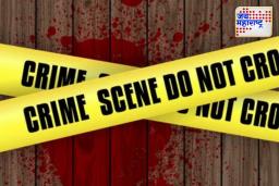 Crime News : जावयाने सासूचे तुकडे केले, हाताचा तुकडा कुत्र्याच्या तोंडात सापडला; पोलिसही अचंबित