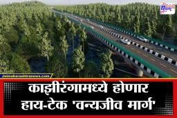 Kaziranga नॅशनल पार्कमध्ये जगातील सर्वात मोठा एलिव्हेटेड कॉरिडॉर! वन्यजीव आणि प्रगतीचा अनोखा मेळ; पाहा वैशिष्ट्ये