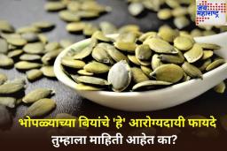 Pumpkin Seeds Benefits: मधुमेह नियंत्रणापासून ते हृदयाच्या आरोग्यापर्यंत भोपळ्याच्या बिया आहेत वरदान!