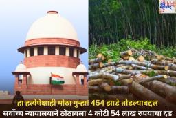 Tree Cutting Penalty: हा हत्येपेक्षाही मोठा गुन्हा! 454 झाडांची कत्तल केल्याबद्दल सर्वोच्च न्यायालयाने ठोठावला 4 कोटी 54 लाख रुपयांचा दंड