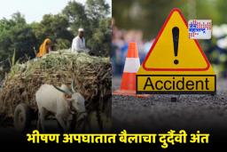 Beed Accident : तिसगाव-शेवगाव रस्त्यावर भीषण अपघात, भरधाव वाहनाची बैलगाड्यांना धडक; 14 ऊसतोड कामगार जखमी