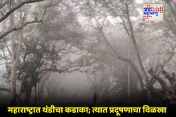 Maharashtra Weather Update: सावधान! केवळ थंडीच नाही, तर ‘हा’ धोकाही वाढला; हवामान खात्याचा महत्त्वाचा इशारा