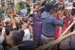 Dadar Kabutar Khana Controversy: दादरमध्ये राडा, ताडपत्री फाडून थेट कबुतरखान्यात शिरले, जैन समाज आक्रमक