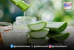 त्वचा आणि केसांसाठी कोरफड गुणकारी