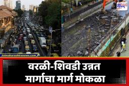 Elphinstone Bridge:  ब्रिटिशकालीन पूल अखेर जमिनदोस्त, लवकरच उभा राहणार हायटेक ‘डबलडेकर’ पूल
