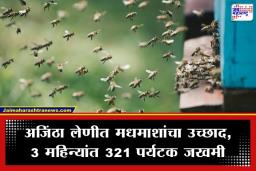 Ajanta Caves Bee Attack: अजिंठा लेणीत पर्यटकांवर मधमाशांचा हल्ला; 2 परदेशी नागरिकांसह 90 जण जखमी