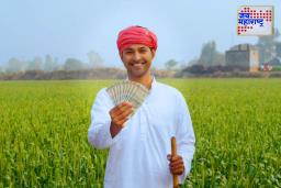PM Kisan update: शेतकऱ्यांसाठी मोठा दिलासा! PM Kisan हप्ते पुन्हा सुरू करण्यासाठी नवा पर्याय उपलब्ध
