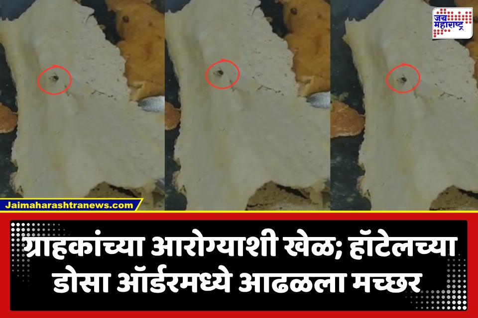 Mosquito Found In A Dosa : मागवला डोसा आला मच्छर! ग्राहकाच्या तक्रारीवर हॉटेल मालकाचा आधी नकार नंतर कबुली; FDA अ‍ॅक्शन घेणार?