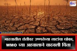 Heatwave Impact: भारतातील शेती धोक्यात! उष्णतेच्या लाटांमुळे ‘या’ पिकाच्या उत्पादनाला सर्वाधिक फटका; WMO च्या अहवालात धक्कादायक खुलासा