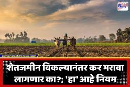 Income Tax Rules: शेतजमीन विकताय? मग ‘हा’ नियम नक्की वाचा; नाहीतर भरावा लागेल मोठा कर