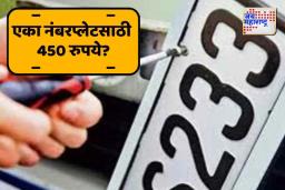 हायसिक्युरिटी नंबरप्लेटसाठी लूटमार?