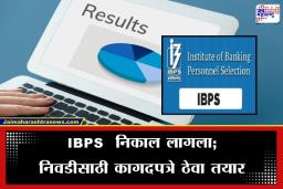 IBPS Exam Result: 15701 पदांसाठी झालेल्या IBPS Clerk परीक्षेचा निकाल जाहीर; असे पाहा स्कोअरकार्ड