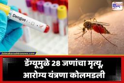 Dengue Outbreak : डेंग्यूचा हाहाकार! 24 तासांत आढळले 1000 हून अधिक नवे रुग्ण