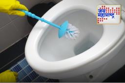 Toilet Cleaning Hacks: मीठ टाकल्याने टॉयलेट स्वच्छ होईल?, जाणून घ्या सोप्या टिप्स