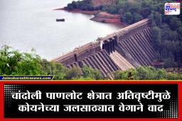 Koyna Dam Water Level: कोयना धरणाने ओलांडला 50 टक्क्यांचा टप्पा, दोन दिवसांत 4 TMC पाणी वाढले; चांदोली परिसरात अतिवृष्टी!