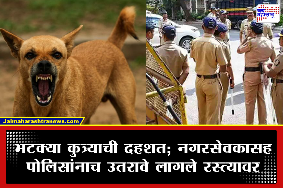 Kalyan Stray Dog: कल्याणमध्ये भटक्या कुत्र्याचा उच्छाद! अखेर पोलिसांच्या शोधमोहिमेनंतर 150 जणांना चावणाऱ्या श्वानाला पकडण्यात यश