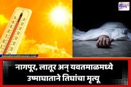 Heatstroke Deaths: राज्यात उन्हाचा कहर! उष्माघाताने तिघांचा मृत्यू; तर पाण्यासाठी पायपीट करणाऱ्या चिमुकलीचा ररस्त्यातच तडफडून अंत