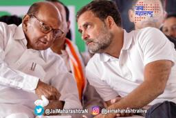 पवारांकडून राहुलना वारीचं निमंत्रण