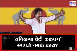 TVK: थलपती विजयच्या पक्षाच्या नावातच दडलाय मोठा राजकीय संदेश; अर्थ वाचून तुम्हीही व्हाल थक्क