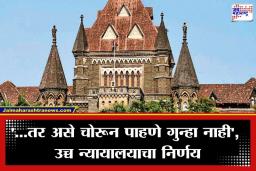 HC On Voyeurism: ‘महिला सहकाऱ्याकडे तसे एकटक पाहणे गुन्हा नाही…’; उच्च न्यायालयानं केली वरिष्ठ अधिकाऱ्यावरील FIR रद्द