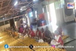 विठ्ठलाच्या भक्तांसाठी बुंदी आणि राजगिऱ्याच्या लाडवांचा प्रसाद