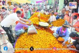 दिवाळीत झेंडू खातोय भाव