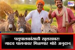 Donkey Farming Scheme: केंद्र सरकारची अनोखी योजना! आता गाढव पाळा आणि मिळवा तब्बल इतके टक्के अनुदान; अर्ज करण्याची संपूर्ण प्रक्रिया जाणून घ्या