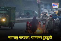 Cold Wave in Maharashtra: राज्यात गारठा वाढला; पुणे, विदर्भ आणि उत्तर महाराष्ट्रातील जिल्ह्यांमध्ये तापमानात मोठी घसरण