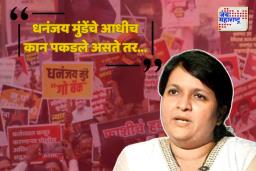 अंजली दमानियांनी दिला शरद पवारांना सल्ला