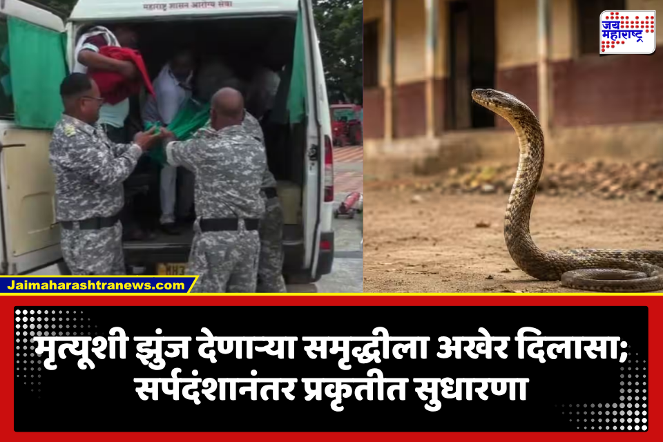 Gadchiroli Snakebite Incident: समृद्धीच्या प्रकृतीत सुधारणा! गडचिरोली आश्रमशाळेतील सर्पदंशानंतर नागपुरात उपचार, डॉक्टरांच्या प्रयत्नांना अखेर यश