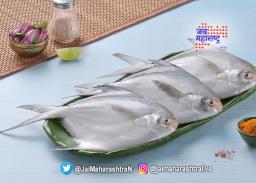 चंदेरी पापलेटला राज्य मासा दर्जा
