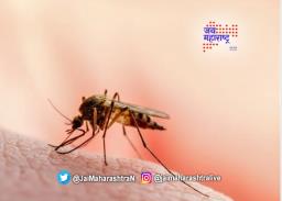 मलेरियाच्या महाराष्ट्रातील ८०४० पैकी २९८५ रुग्ण मुंबईत