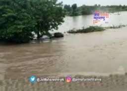 धक्कादायक ! तुर विक्रीसाठी शेतकऱ्यांना सांगावी लागतेय जात