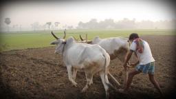 कर्ज घोटाळ्याचे प्रकरण उघडकीस