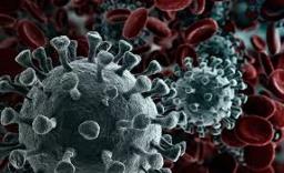 यवतमाळ जिल्ह्यात 50 जण कोरोनामुक्त ; 37 नव्याने पॉझेटिव्ह