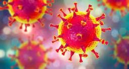 रामसर पाणथळ क्षेत्र म्हणून घोषित करण्यात आलं लोणार सरोवर