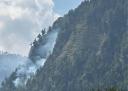 #JammuAndKashmir: काय आहे कलम 35 A आणि कलम 370 ?