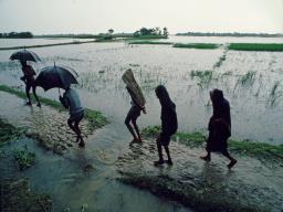 राज्यात पावसाचा जोर वाढण्याची शक्यता